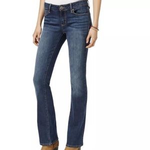 ✨ American Rag Cie Bootcut Jeans ✨